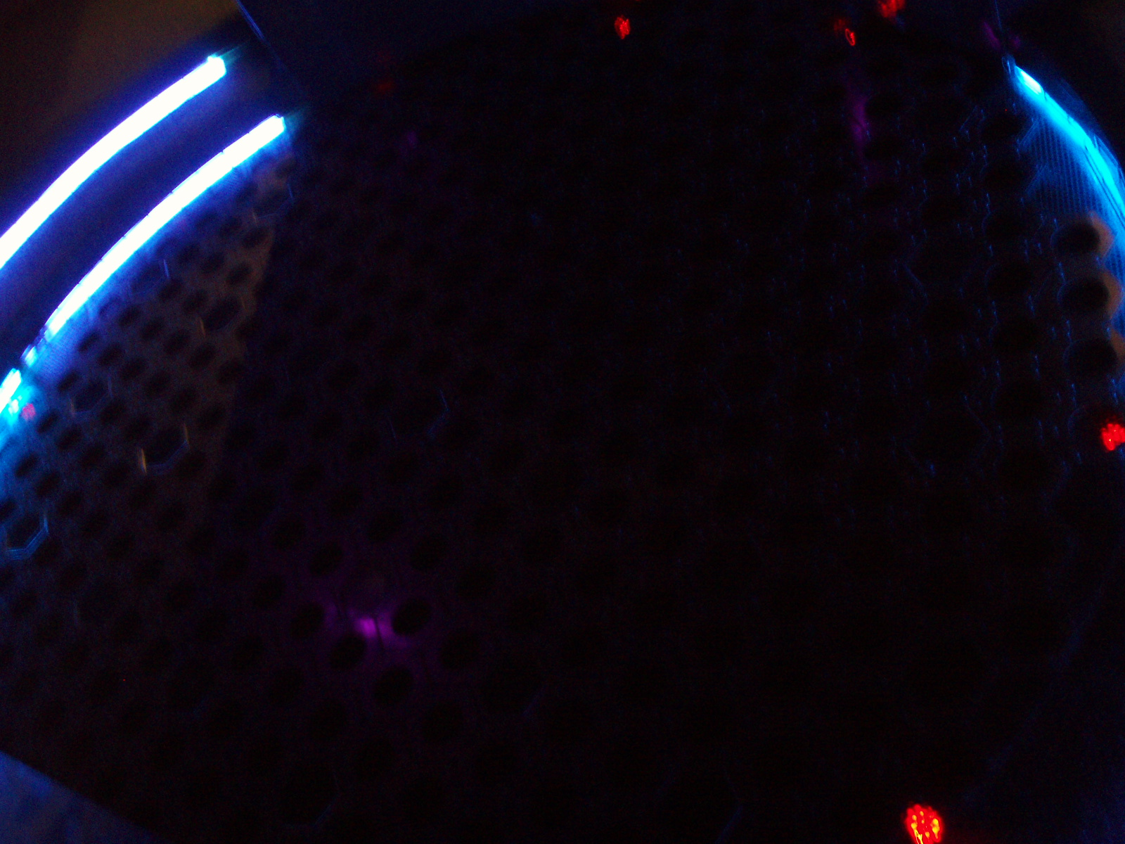 PB070186.JPG